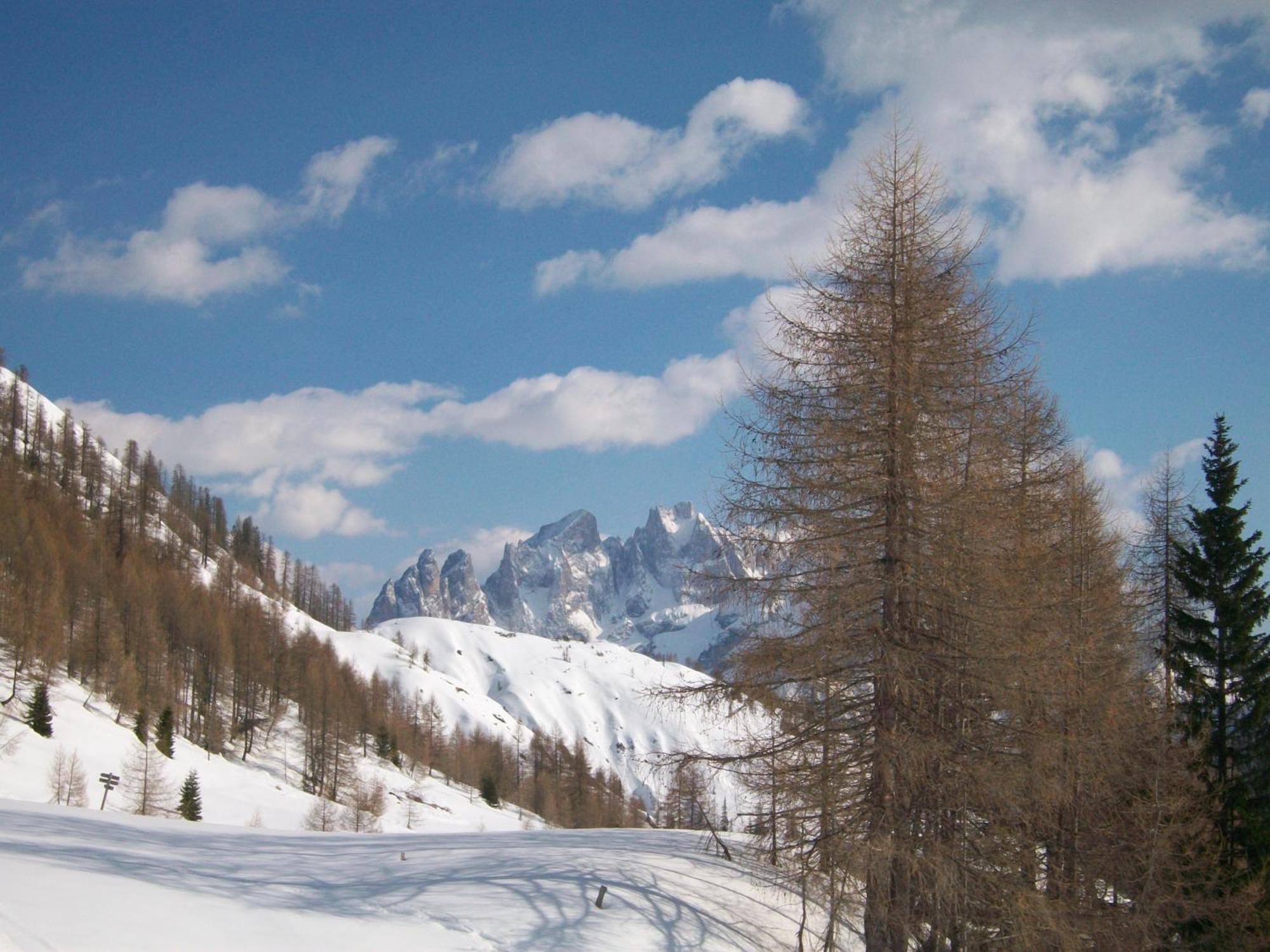 Dolomiti