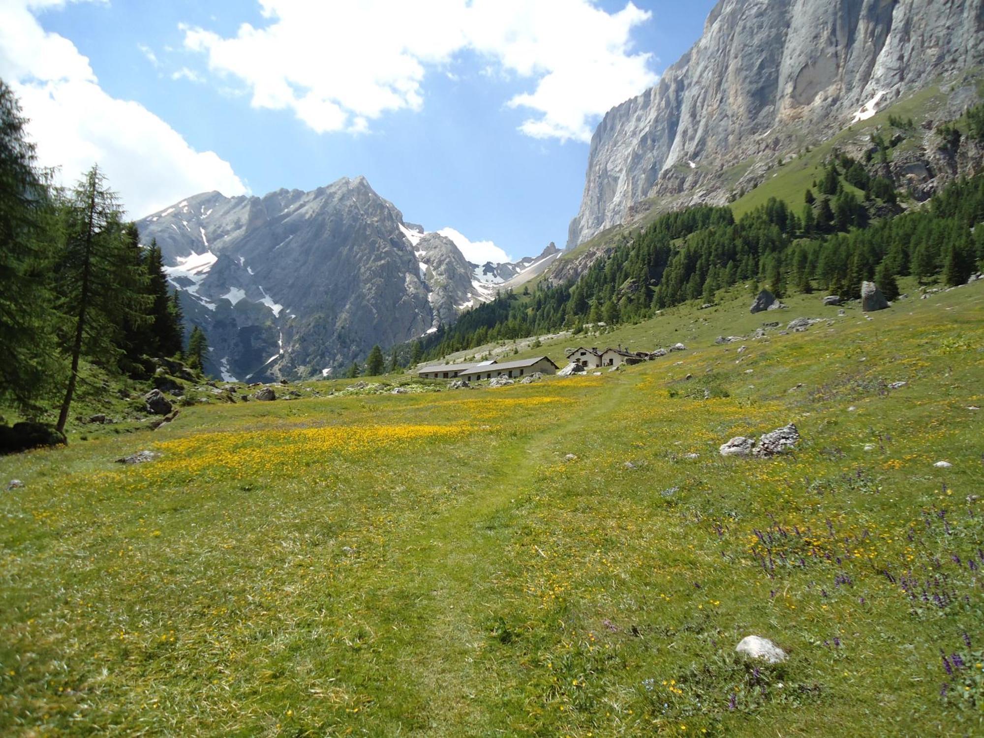Hotel Dolomiti Falcade