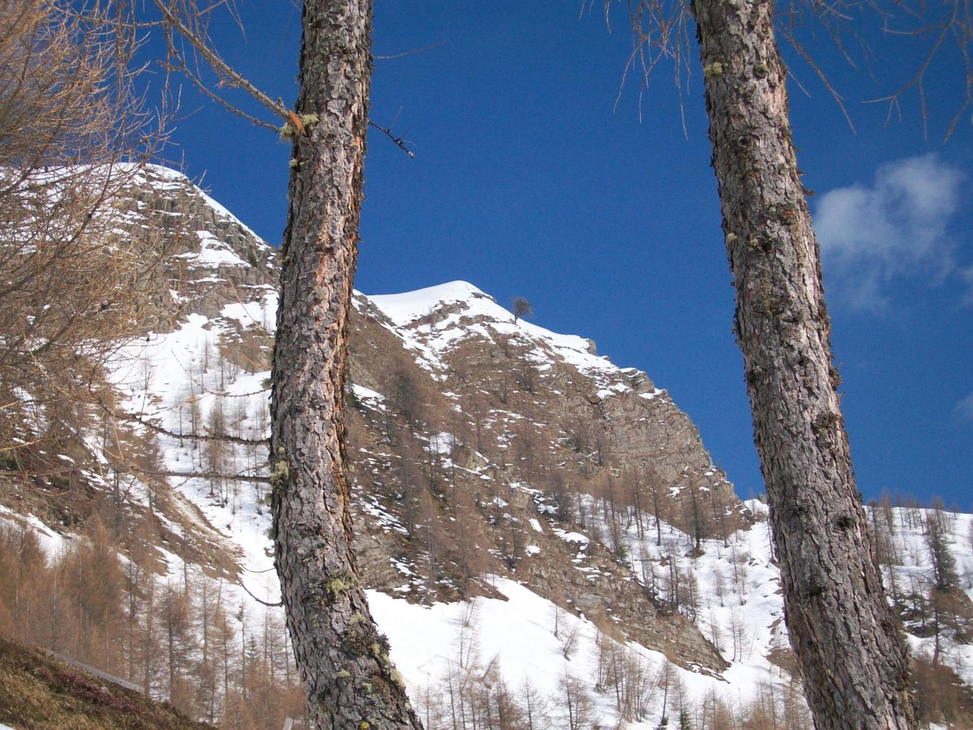 Dolomiti